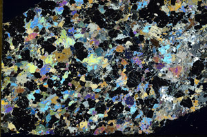 Cross Polarized, N11831