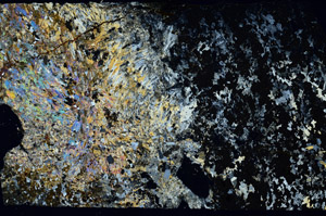 Cross Polarized, N11833