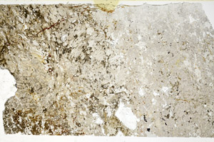 Plane Polarized, N11833