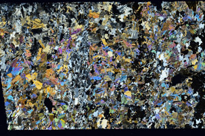 Cross Polarized, N11836