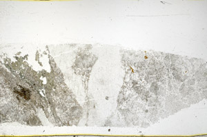 Plane Polarized, N11840
