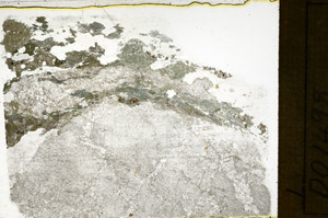 Plane Polarized, N11840/A