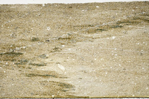 Plane Polarized, N11848/A