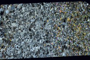 Cross Polarized, N11853