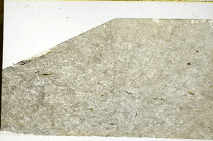 Plane Polarized, N11867