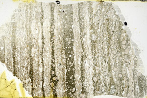 Plane Polarized, N11893