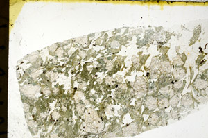 Plane Polarized, N11899