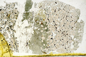 Plane Polarized, N11901