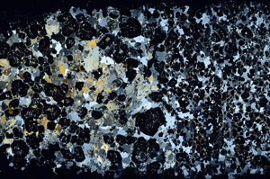 Cross Polarized, N11910