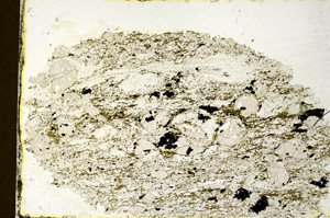 Plane Polarized, N11950