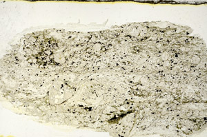Plane Polarized, N11952