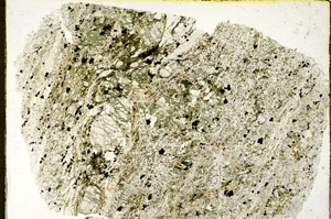 Plane Polarized, N11953