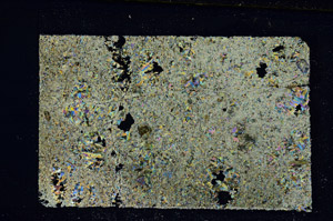 Cross Polarized, N11954