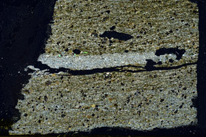 Cross Polarized, N11991