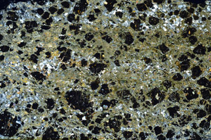 Cross Polarized, N11996
