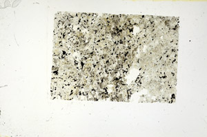 Plane Polarized, N12009