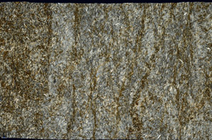 Cross Polarized, N12204