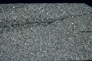 Cross Polarized, N12214