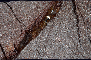 Cross Polarized, N12234