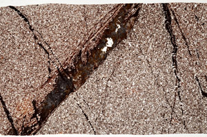 Plane Polarized, N12234
