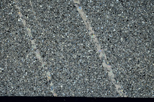 Cross Polarized, N12242