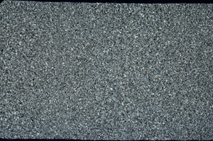 Cross Polarized, N12247