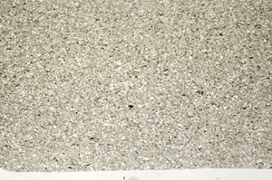 Plane Polarized, N12254