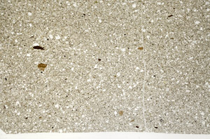 Plane Polarized, N12257