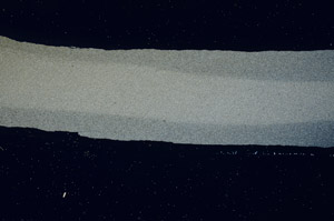 Cross Polarized, N12269