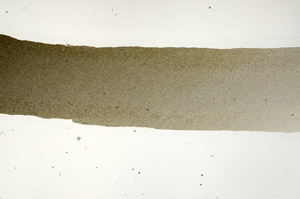 Plane Polarized, N12269