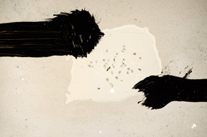 Plane Polarized, N12271/4