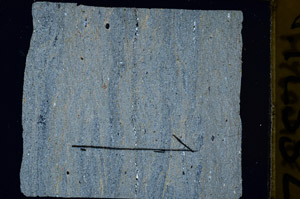 Cross Polarized, N12332