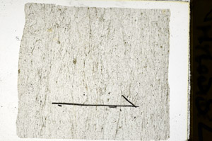 Plane Polarized, N12332