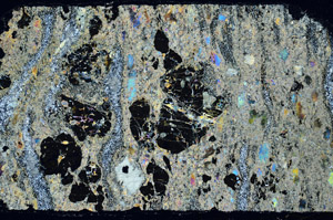 Cross Polarized, N12335/B