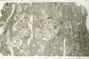 Plane Polarized, N12335/B