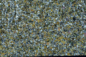 Cross Polarized, N12343