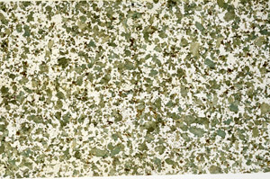 Plane Polarized, N12343