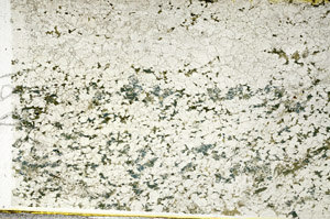Plane Polarized, N12392