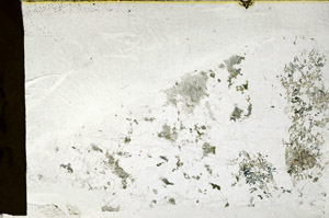 Plane Polarized, N12421
