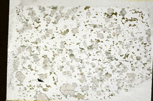 Plane Polarized, N12426