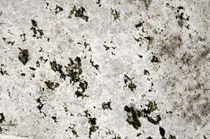 Plane Polarized, N12451