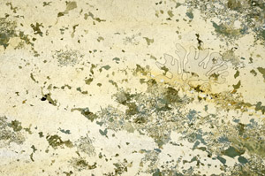 Plane Polarized, N12454