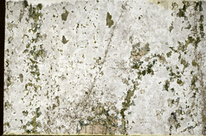 Plane Polarized, N12456