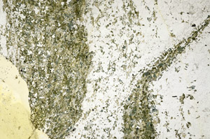 Plane Polarized, N12457