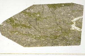 Plane Polarized, N12458