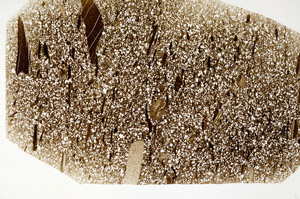 Plane Polarized, N12466