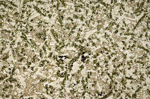 Plane Polarized, N12467