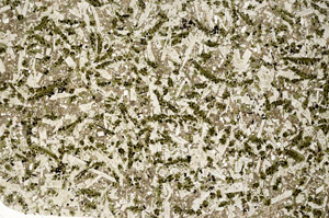 Plane Polarized, N12467/A