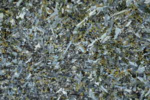 Cross Polarized, N12468