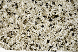 Plane Polarized, N12470